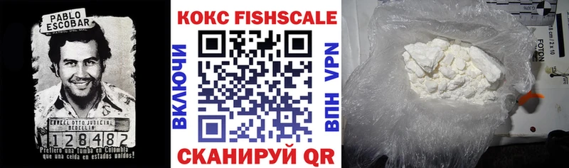 купить закладку  Дагестанские Огни  Cocaine Fish Scale 