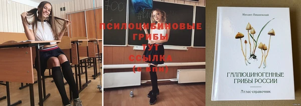 ПСИЛОЦИБИНОВЫЕ ГРИБЫ Беломорск