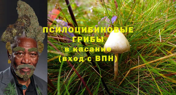 ПСИЛОЦИБИНОВЫЕ ГРИБЫ Беломорск