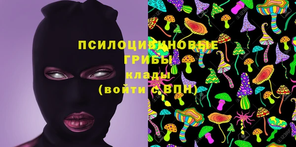 эйфоретик Белокуриха
