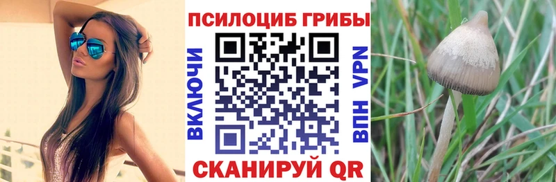 купить наркотики цена  Дагестанские Огни  Галлюциногенные грибы ЛСД 