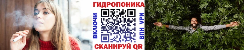 Конопля AK-47  дарнет шоп  KRAKEN сайт  Дагестанские Огни 
